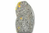 Very Vibrant, Free-Standing Polished Bumblebee Jasper #284200-1